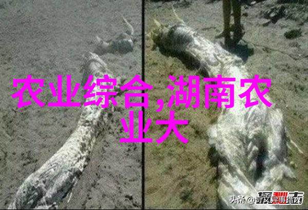 定西市无公害白条党参的生产技术