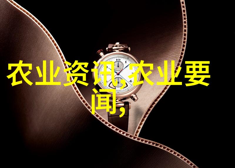 意大利马塔雷拉会见出席中意文化合作机制大会和中意大学校长对话会代表