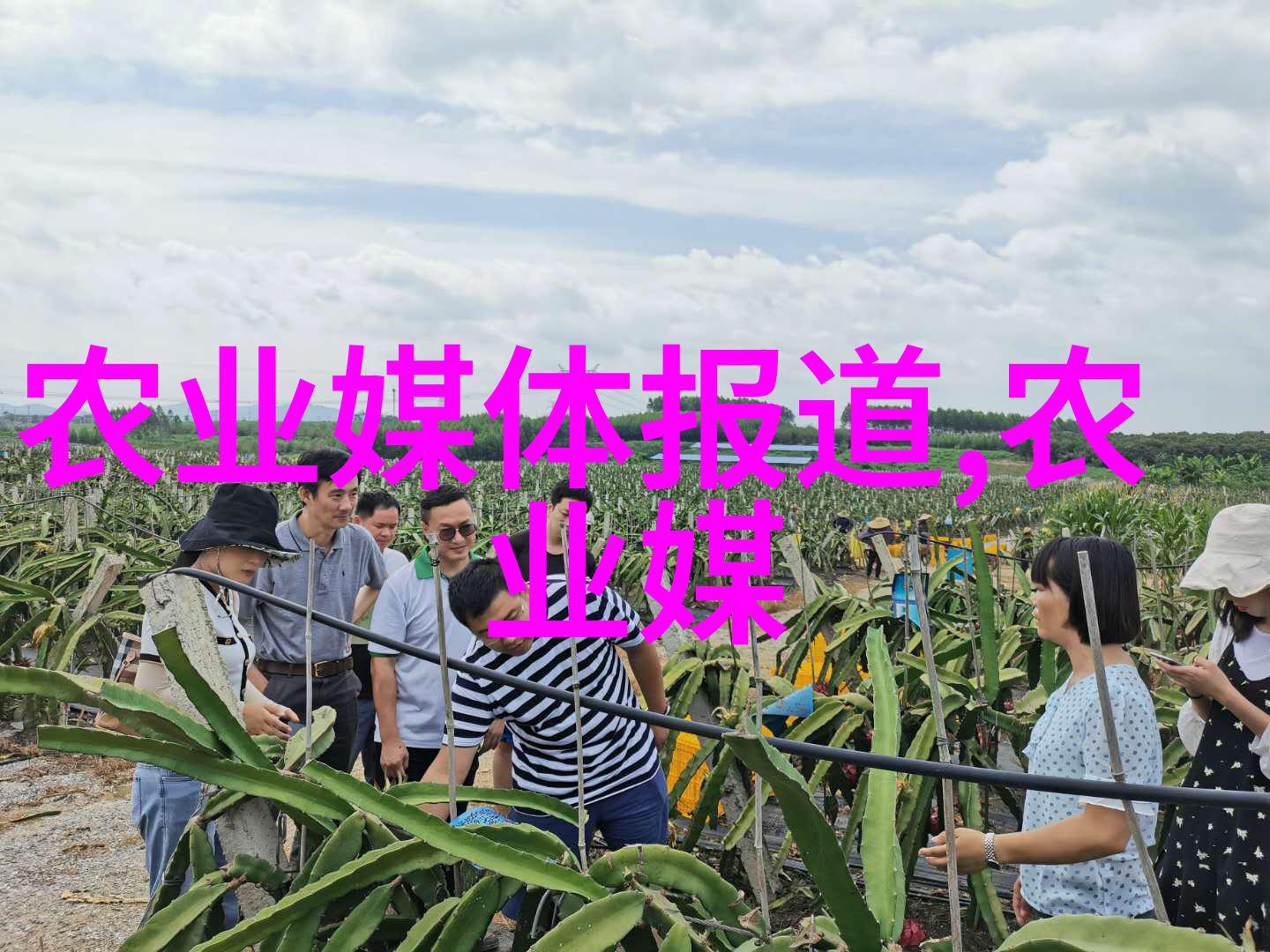 工人日报 新品种新技术助力大豆等油料作物抗逆增产